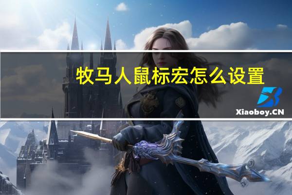 牧马人鼠标宏怎么设置（牧马人鼠标怎么样）