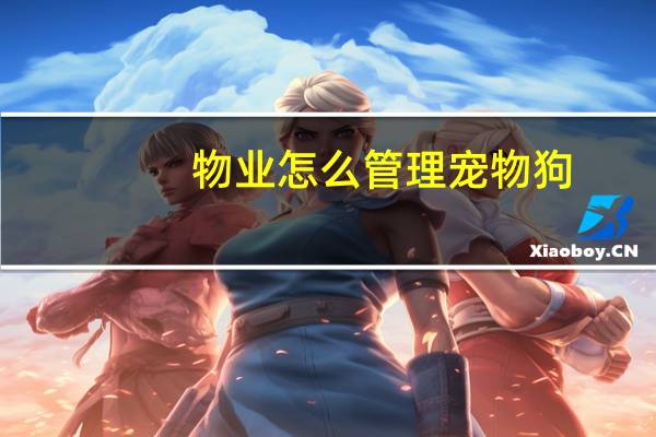 物业怎么管理宠物狗