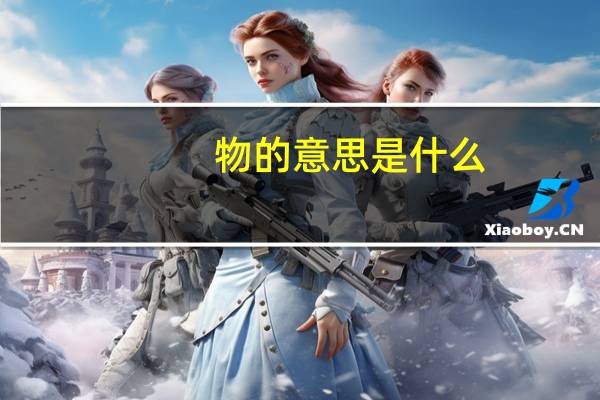 物的意思是什么
