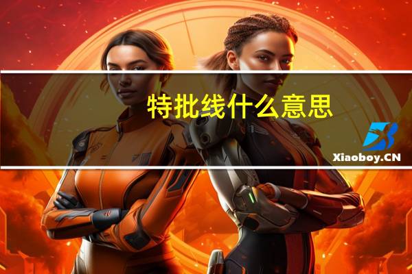 特批线什么意思