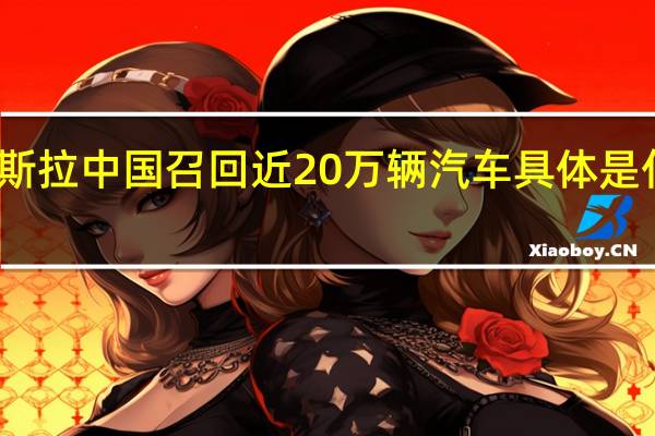 特斯拉中国召回近20万辆汽车 具体是什么情况？