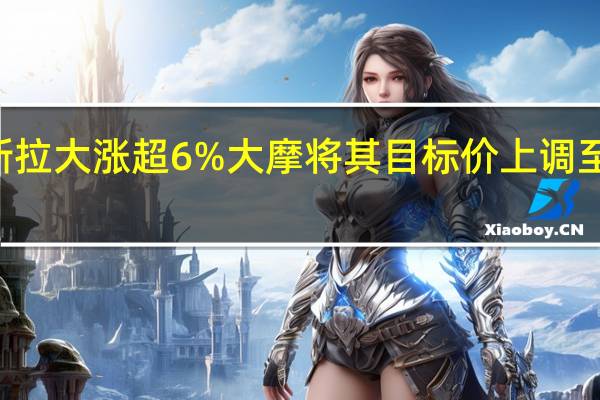 特斯拉大涨超6% 大摩将其目标价上调至400美元