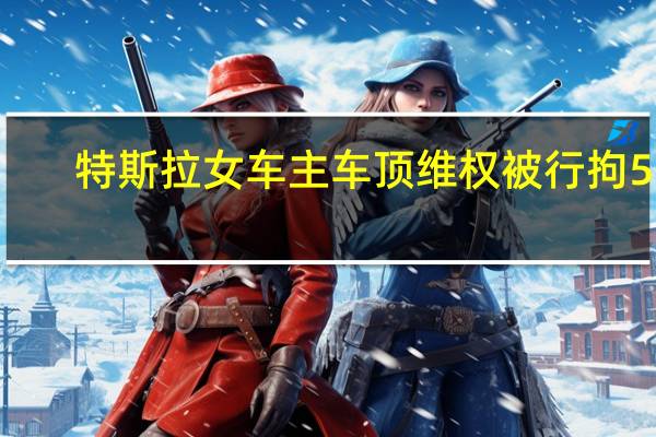 特斯拉女车主车顶维权被行拘5日
