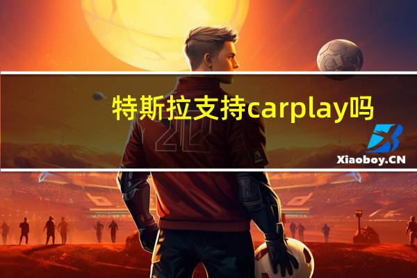 特斯拉支持carplay吗（你的设备不支持google play服务）