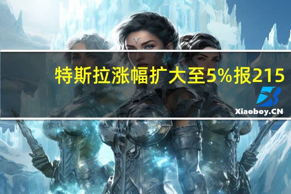 特斯拉涨幅扩大至5%报215.9美元/股为连续第3日上涨
