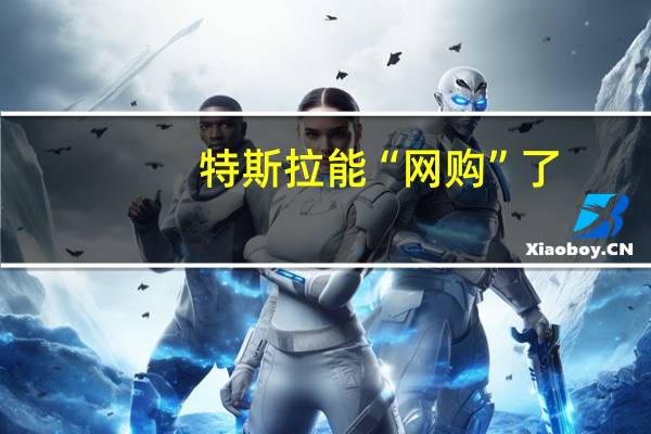 特斯拉能“网购”了：京东商城或将上线特斯拉订购服务