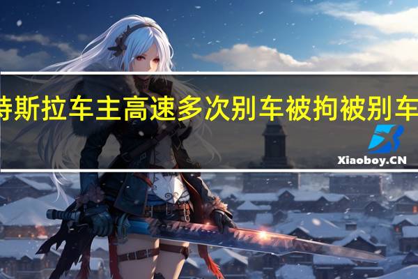 特斯拉车主高速多次别车被拘 被别车主发声：越是如此越要冷静