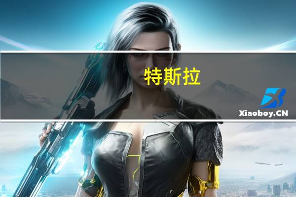 特斯拉：上海工厂已进入最后准备阶段
