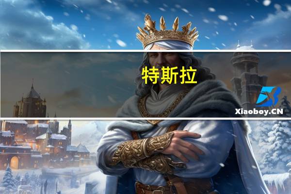 特斯拉(TSLA.O)涨超1.6%抹去4%的跌幅