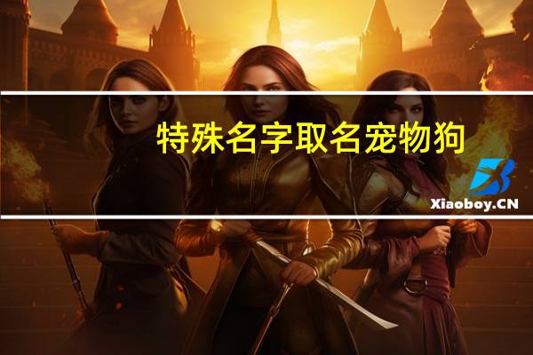 特殊名字取名宠物狗