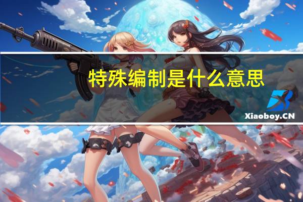 特殊编制是什么意思