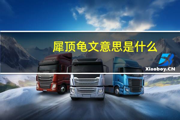 犀顶龟文意思是什么