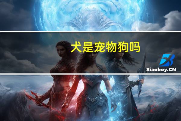 犬是宠物狗吗