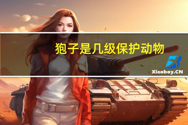 狍子是几级保护动物（狍子为什么叫傻狍子）