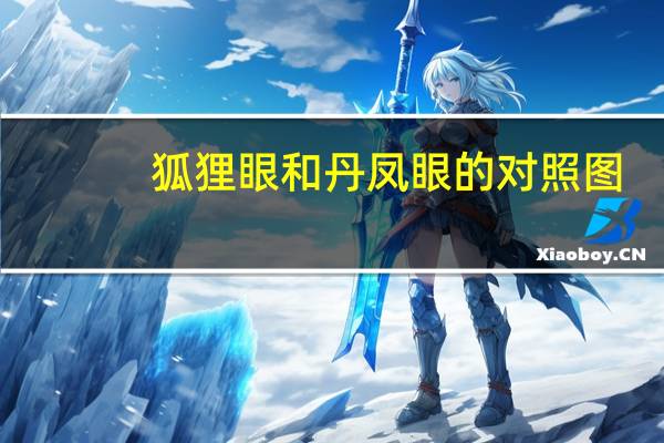 狐狸眼和丹凤眼的对照图(狐狸眼和丹凤眼的区别)