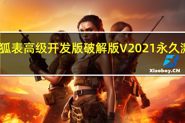 狐表高级开发版破解版 V2021 永久激活版（狐表高级开发版破解版 V2021 永久激活版功能简介）