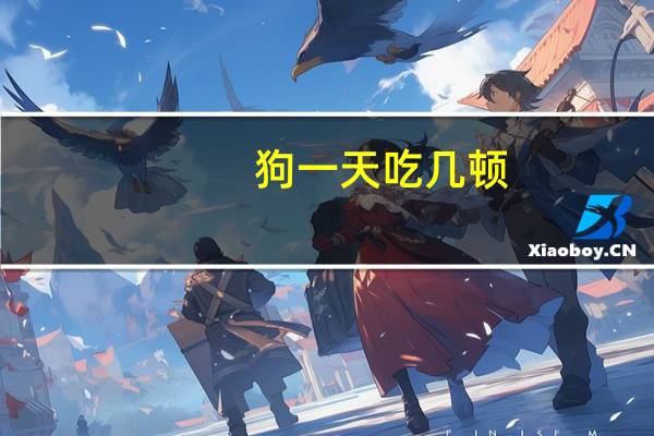 狗一天吃几顿