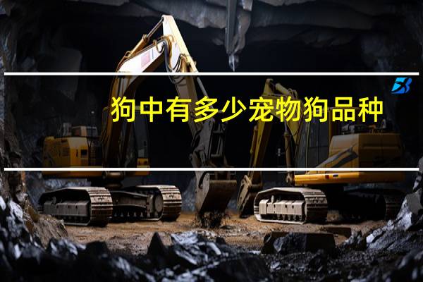 狗中有多少宠物狗品种