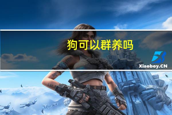狗可以群养吗