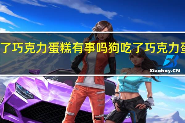 狗吃了巧克力蛋糕有事吗 狗吃了巧克力蛋糕怎么办