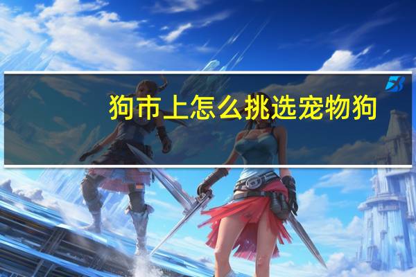 狗市上怎么挑选宠物狗