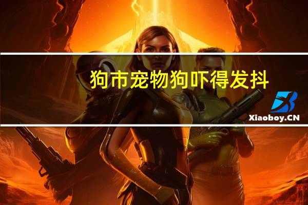 狗市宠物狗吓得发抖