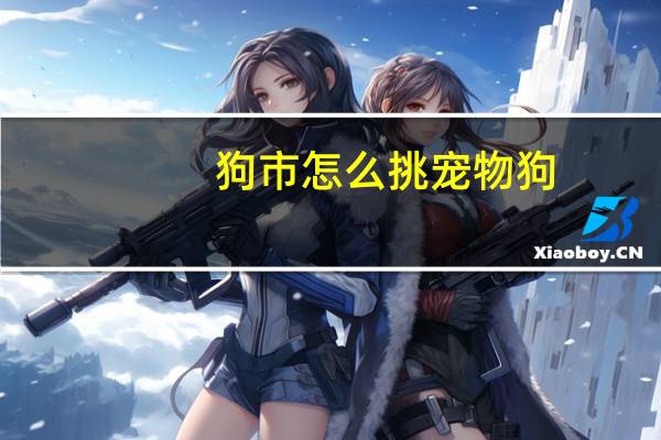 狗市怎么挑宠物狗