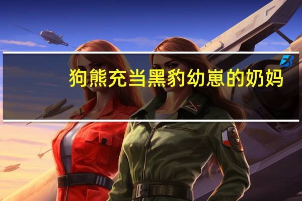 狗熊充当黑豹幼崽的奶妈