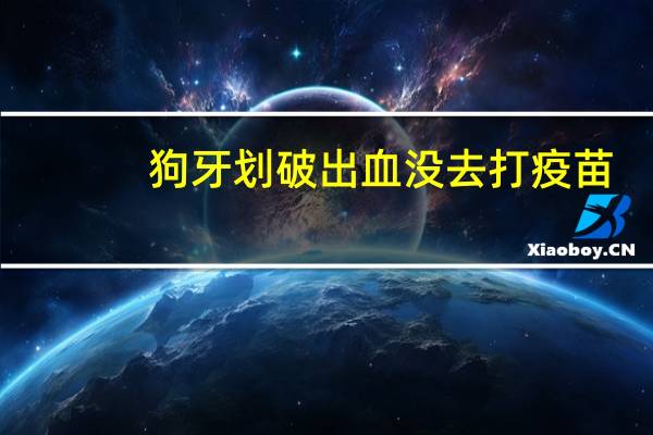 狗牙划破出血没去打疫苗（让狗牙碰了没破没出血要打针吗）