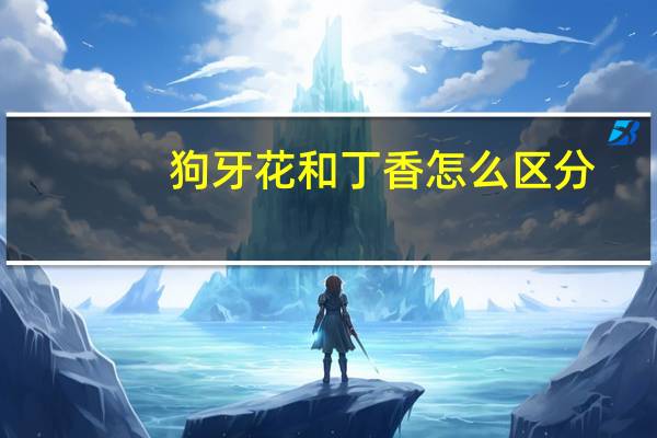 狗牙花和丁香怎么区分