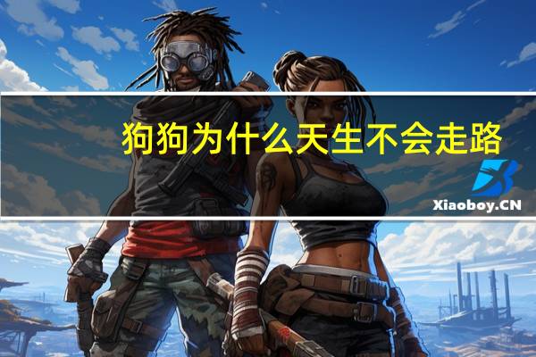 狗狗为什么天生不会走路