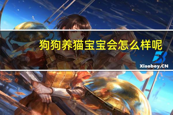 狗狗养猫宝宝会怎么样呢