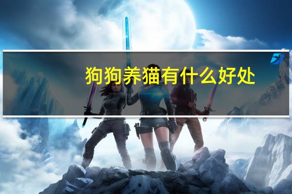 狗狗养猫有什么好处