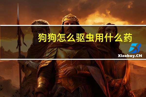 狗狗怎么驱虫用什么药（狗狗怎么驱虫）