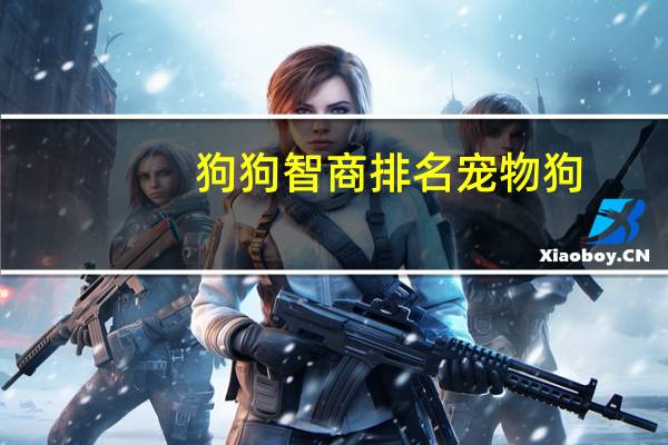 狗狗智商排名宠物狗