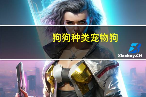 狗狗种类宠物狗