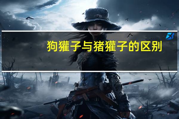 狗獾子与猪獾子的区别（狗獾子是什么和什么生的）