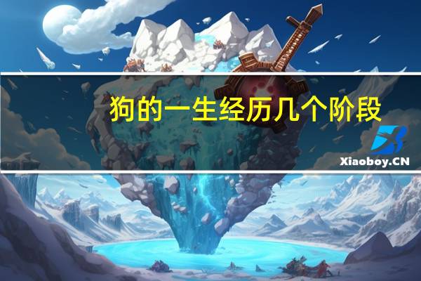 狗的一生经历几个阶段