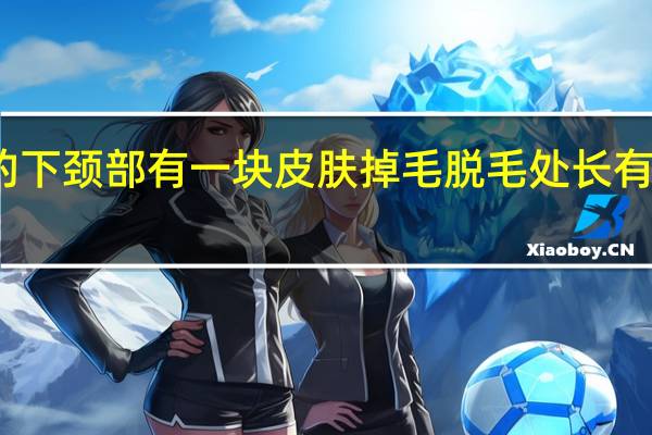 狗的下颈部有一块皮肤掉毛脱毛处长有小脓包我