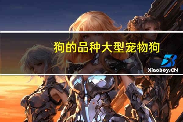 狗的品种大型宠物狗
