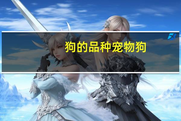 狗的品种宠物狗