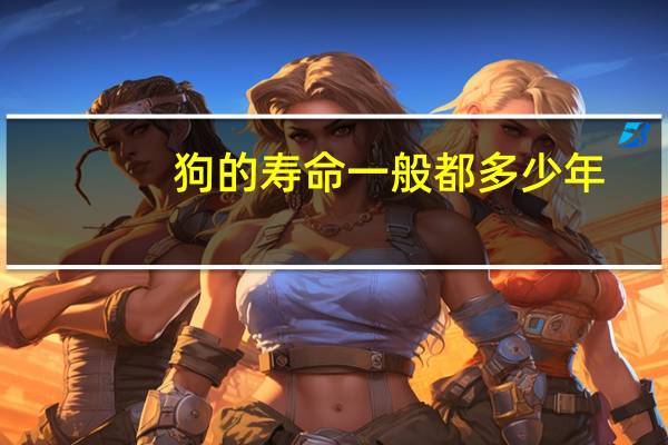 狗的寿命一般都多少年