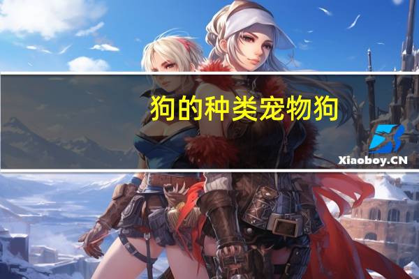 狗的种类宠物狗