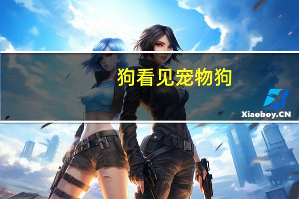 狗看见宠物狗