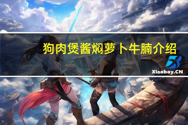 狗肉煲酱焖萝卜牛腩介绍