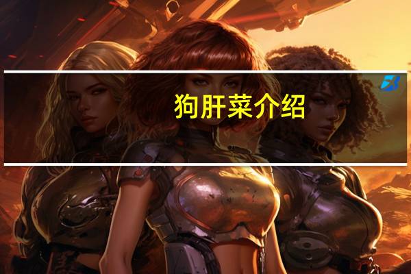 狗肝菜介绍
