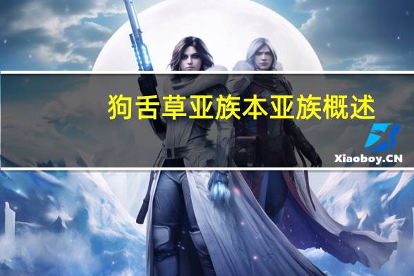 狗舌草亚族本亚族概述