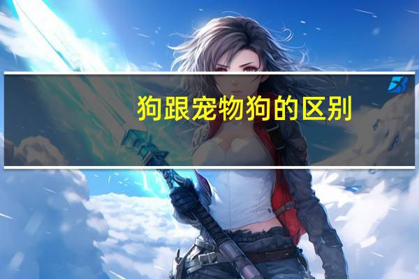 狗跟宠物狗的区别