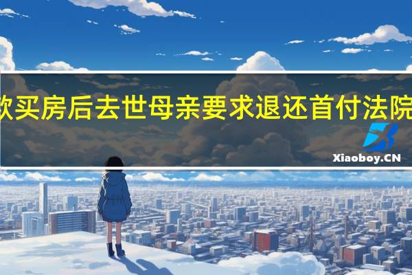 独子贷款买房后去世 母亲要求退还首付 法院调解解除合同