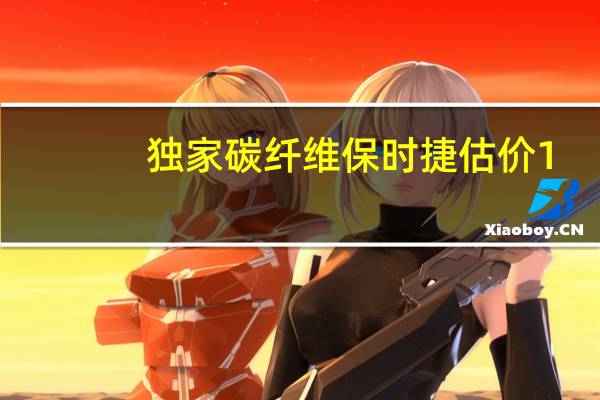 独家碳纤维保时捷估价1.3亿卢布